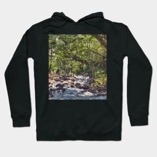 Mountain Stream, Jasaan, Misamis Oriental, Mindanao, Philippines Hoodie